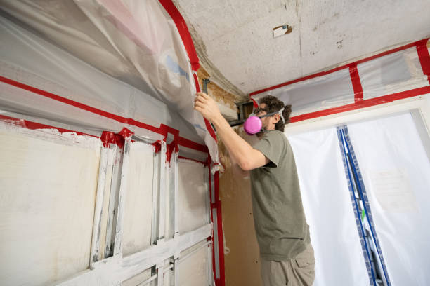 Best Commercial Mold Inspection  in East Freehold, NJ