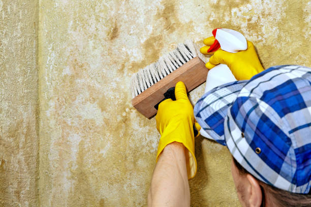 Best Post-Remediation Verification Testing  in East Freehold, NJ