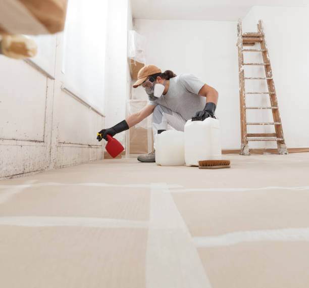 Best Emergency Mold Remediation  in East Freehold, NJ