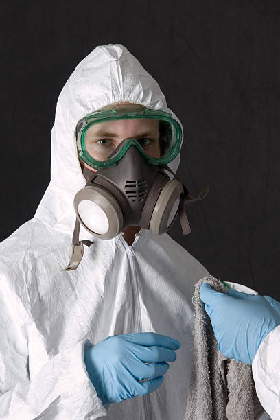 Mold Documentation for Insurance Claims in East Freehold, NJ