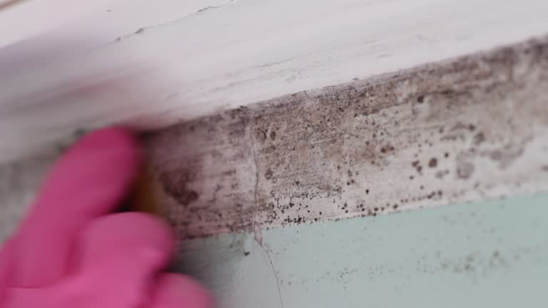Best HVAC Mold Inspection and Cleaning  in East Freehold, NJ